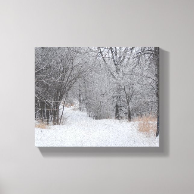 Winter Solitude Canvas Print (Front)