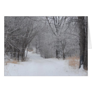 Winter Solitude Greeting Card