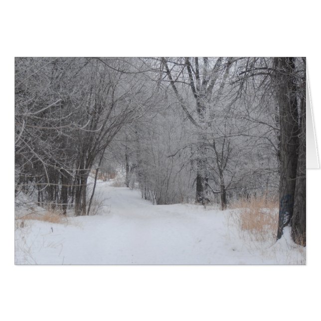 Winter Solitude Greeting Card (Front Horizontal)
