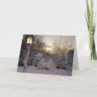 Winter Solstice (Blank) Holiday Card