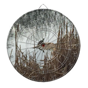 Winter Solstice Dartboard