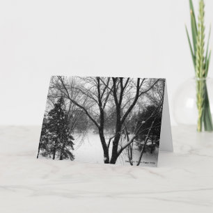 Winter Solstice Greetings, Snowy Trees Holiday Card