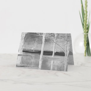 Winter Solstice Holiday Card