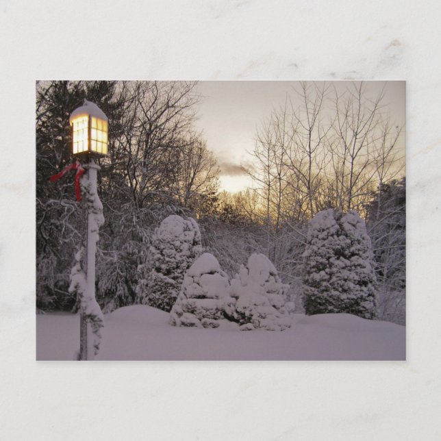 Winter Solstice Postcard (Front)
