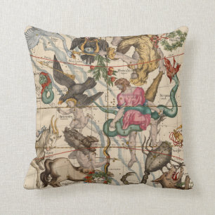 Winter Solstice Throw Pillow