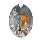 Winter Solstice with Robin Bird Ceramic Ornament