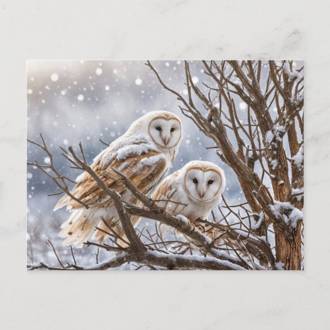 Winter Solstice Yule Owls Snow Holiday Postcard (Front)