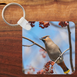 Winter Songbird, Bohemian Waxwing Keychain