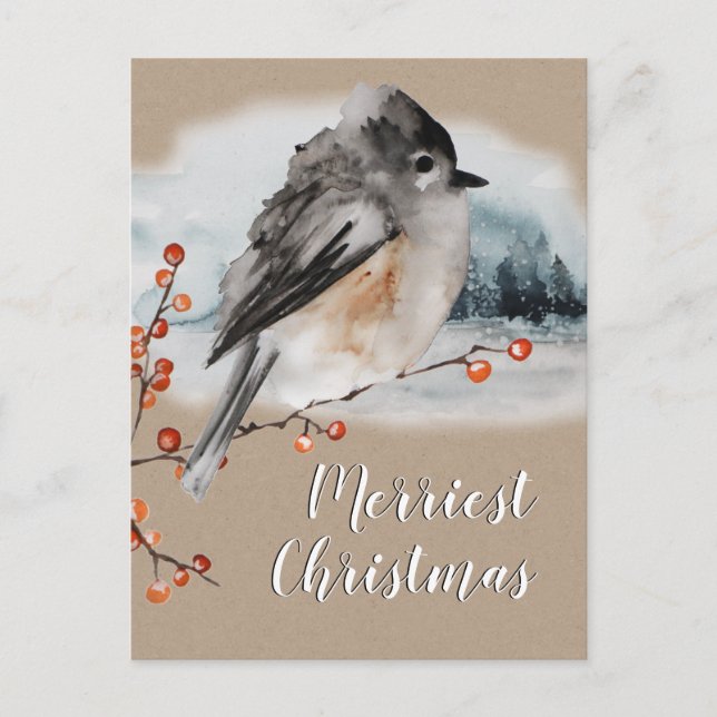 Winter Sparrow Ilex Berries Branch Woodland Scene Postcard (Front)