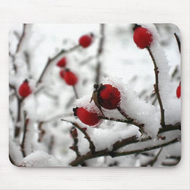 Winter Spirit Mouse Pad (Front)