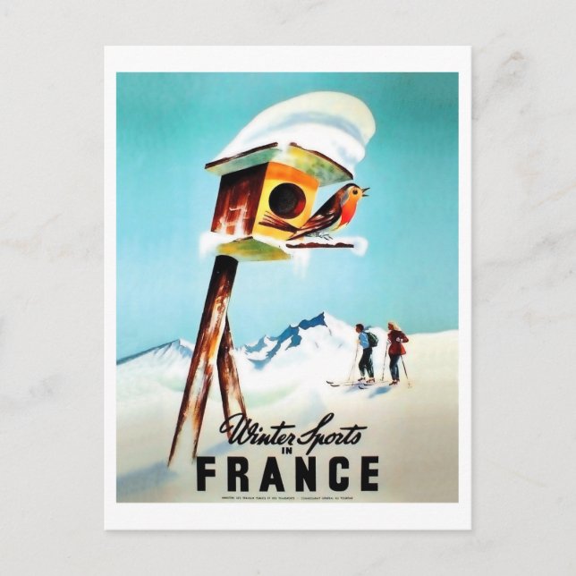 Winter sports in France, little bird in her home Postcard (Front)