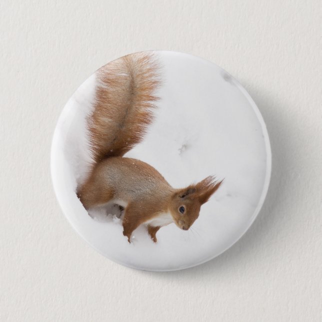 Winter Squirrel 2 Inch Round Button (Front)