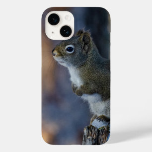Winter Squirrel, Brown Animal, Canadian Photograph Case-Mate iPhone 14 Case
