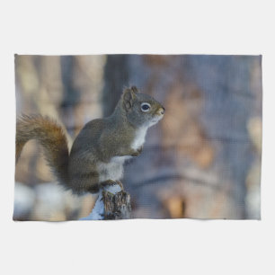 Winter Squirrel, Brown Animal, Canadian Photograph Kitchen Towel
