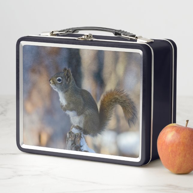 Winter Squirrel, Brown Animal, Canadian Photograph Metal Lunch Box (In Situ)