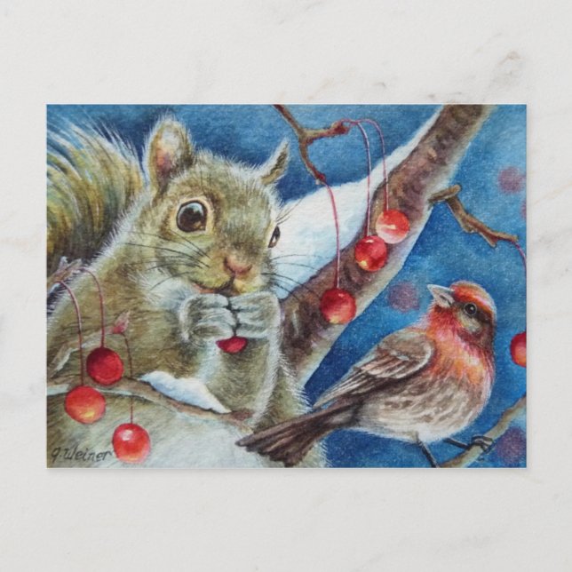 Winter Squirrel Finch Bird Berries Watercolor Art Postcard (Front)