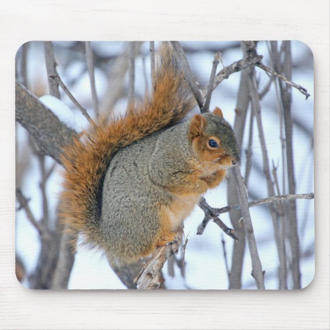 Winter Squirrel Mouse Pad (Front)