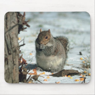 Winter Squirrel Mouse Pad