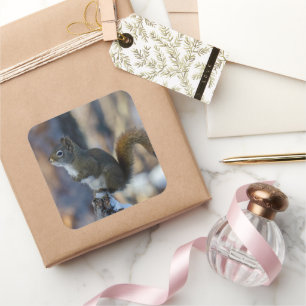 Winter Squirrel on Tree Stump Square Sticker