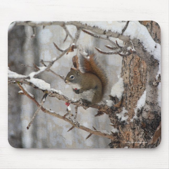 Winter Squirrel, Snow & Red Berries Xmas Design Mouse Pad (Front)
