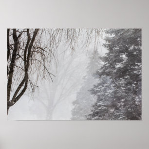 Winter storm, Ohio. Poster