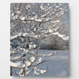 Winter Storm Plaque