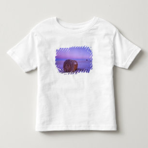 Winter Straw Bales near Cartwright North Toddler T-shirt