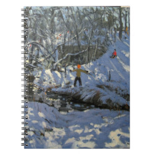 Winter Stream Derbyshire Notebook