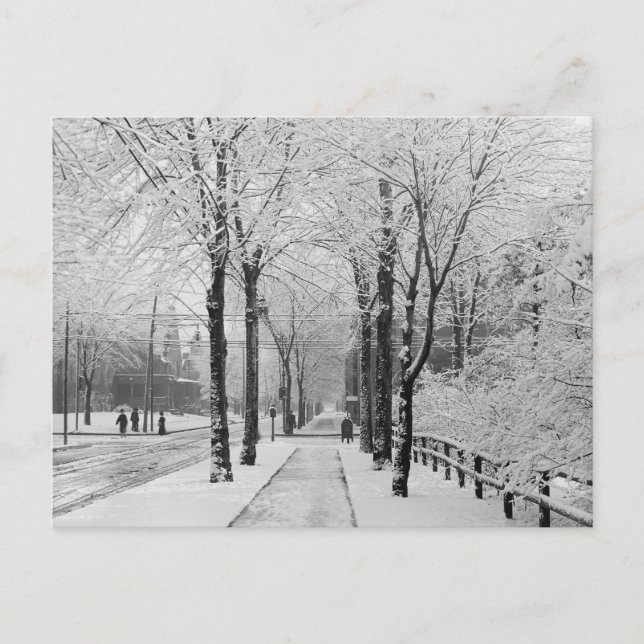 Winter Street Scene, 1910 Postcard (Front)