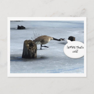 Winter sucks postcard