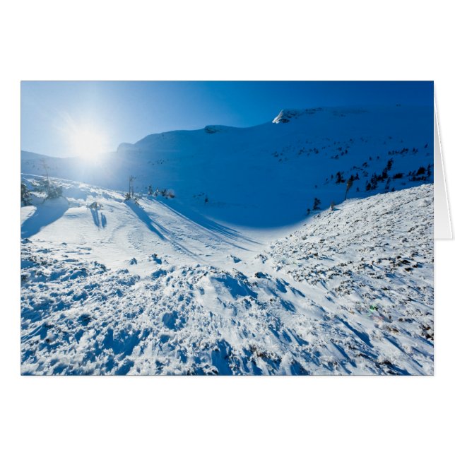 Winter sun (Front Horizontal)