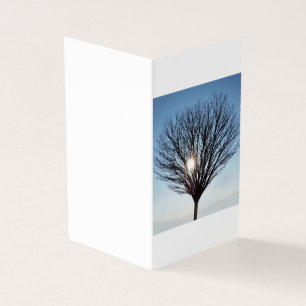 winter sun
