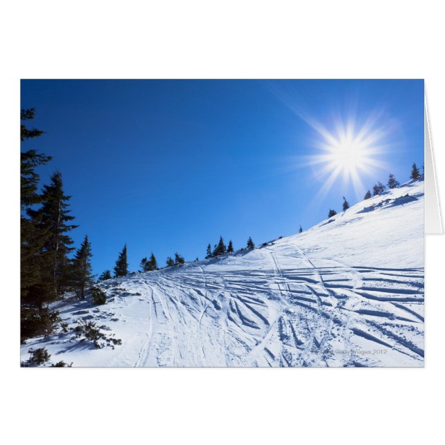 Winter sun 4 (Front Horizontal)