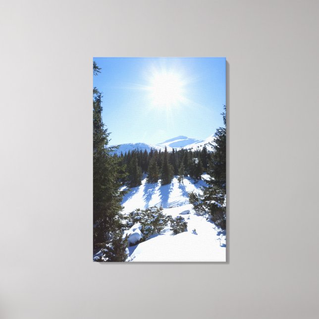 Winter sun 5 canvas print (Front)