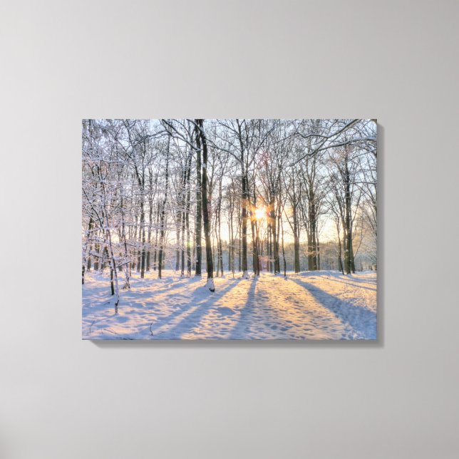 Winter sun in snowy forest canvas print (Front)
