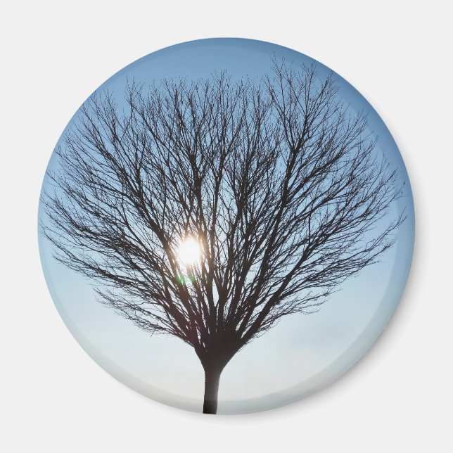 winter sun magnet (Front)