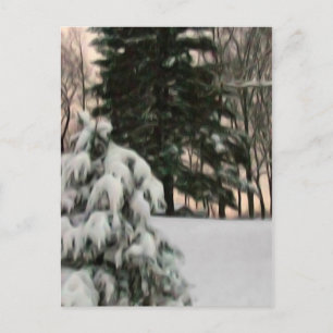 Winter Sun Postcard