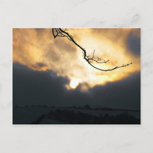 Winter Sun Postcard