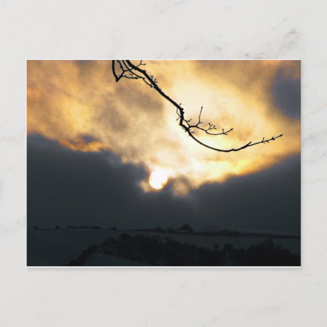 Winter Sun Postcard (Front)