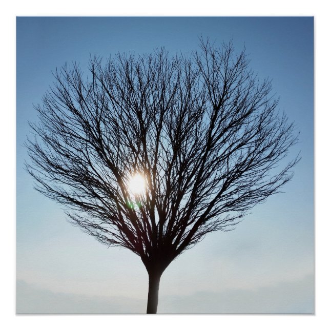 winter sun poster (Front)