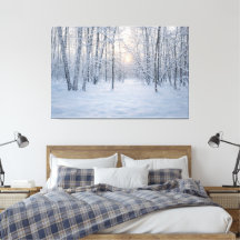 Winter Sunlight in Quiet Birch Forest