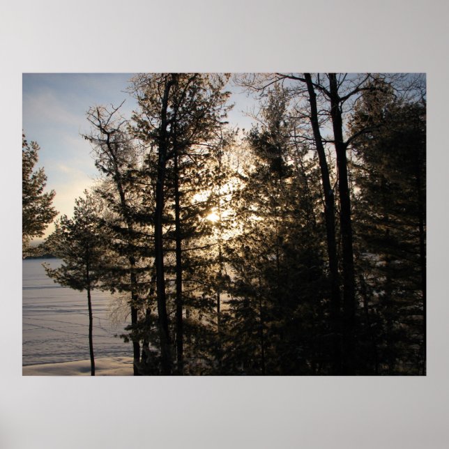 Winter Sunrise 2008 Poster (Front)