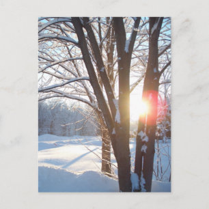 WINTER SUNRISE Customizable Design Postcard