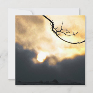 Winter Sunrise Phone Holiday Card