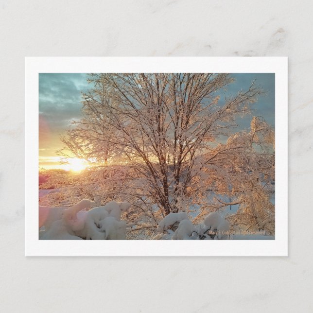 Winter Sunrise Postcard (Front)