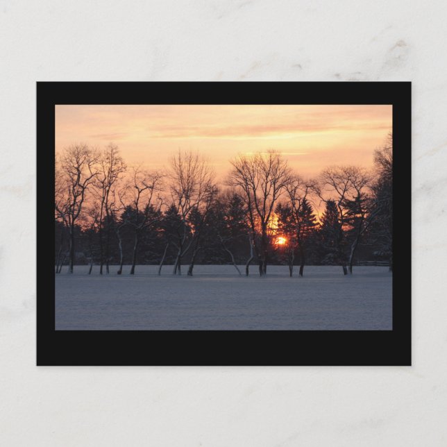Winter Sunrise Postcard (Front)
