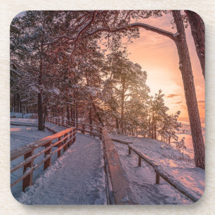 Winter sunset in pine forest near sea coaster