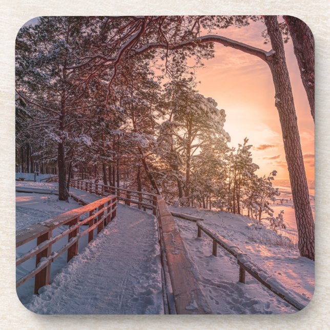 Winter sunset in pine forest near sea coaster (Front)