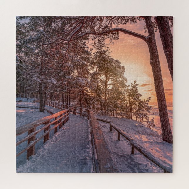 Winter sunset in pine forest near sea jigsaw puzzle (Horizontal)