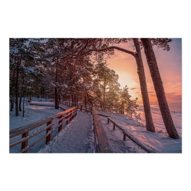 Winter sunset in pine forest near sea poster (Front)